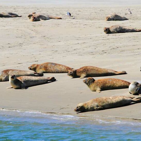 Jugendfreizeit auf Ameland – Bild 5