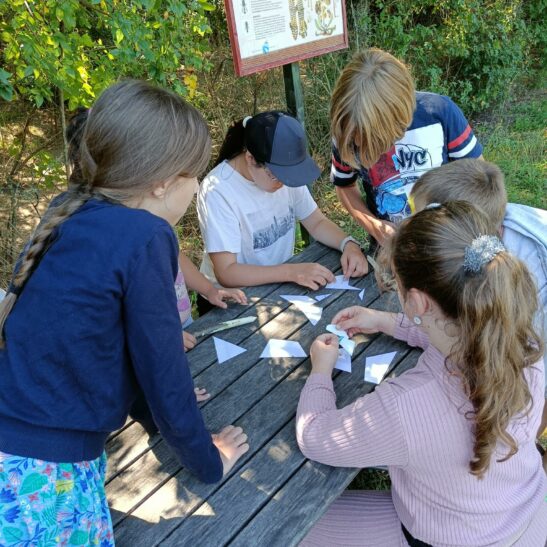 Sommerferienprogramm im Lehrgarten – Bild 10