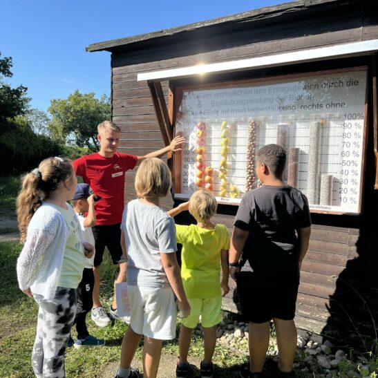 Sommerferienprogramm im Lehrgarten – Bild 6